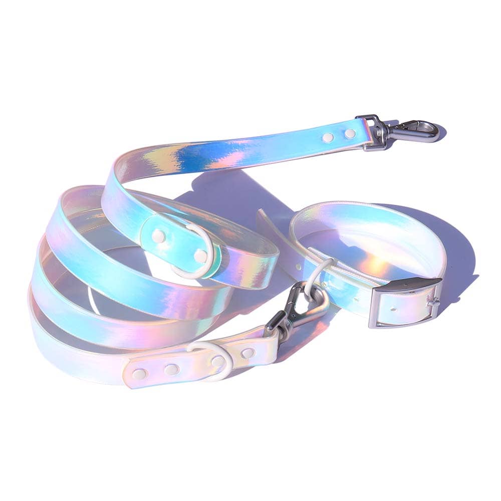 Dog Accessories